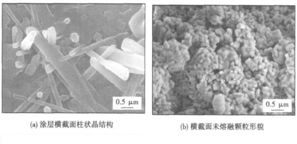 等離子噴涂氧化鋯陶瓷涂層的顯微結(jié)構(gòu)